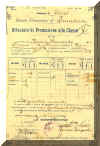 pagella 1.jpg (78050 byte)